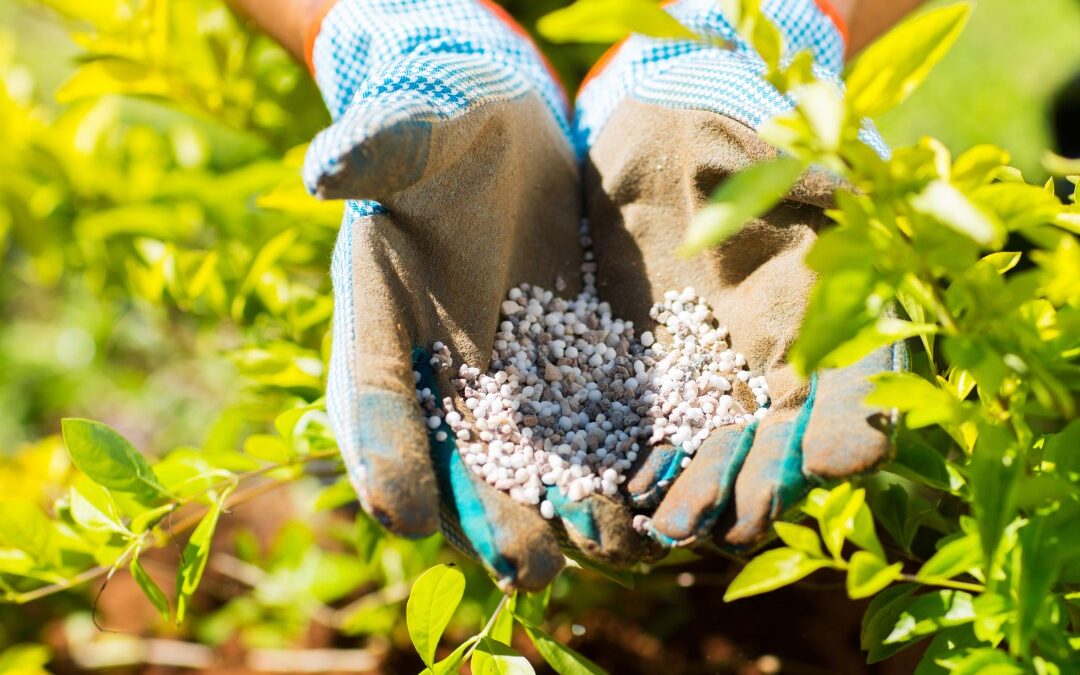 A alta dos insumos agrícolas e o impacto na produção